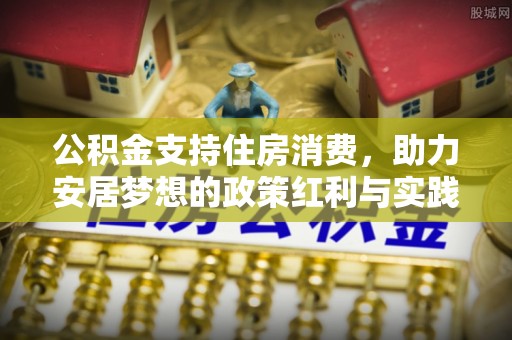 九龙公积金支持住房消费，助力安居梦想的政策红利与实践