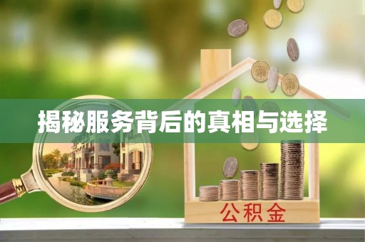 九龙揭秘服务背后的真相与选择