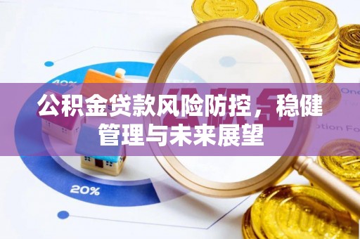 九龙公积金贷款风险防控，稳健管理与未来展望