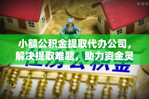 九龙小额公积金提取代办公司，解决提取难题，助力资金灵活使用