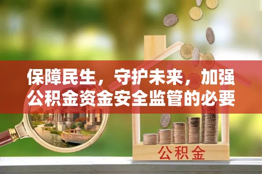 九龙保障民生，守护未来，加强公积金资金安全监管的必要性与实践