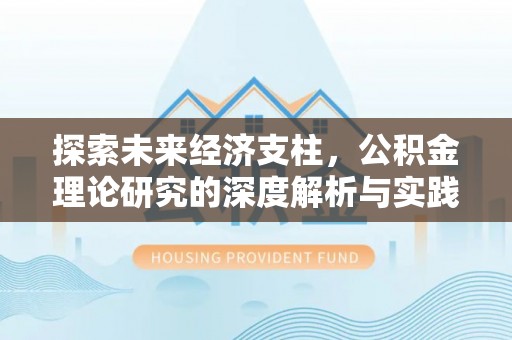 九龙探索未来经济支柱，公积金理论研究的深度解析与实践意义