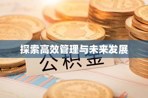 九龙探索高效管理与未来发展