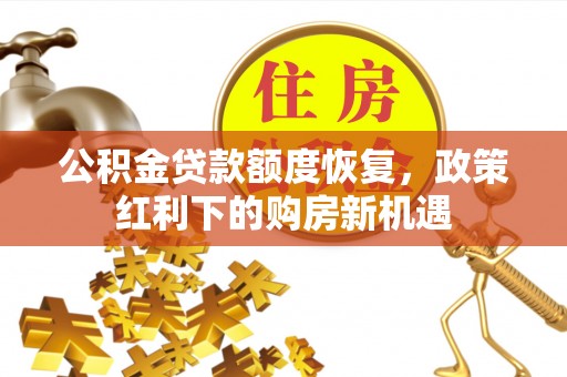 九龙公积金贷款额度恢复，政策红利下的购房新机遇