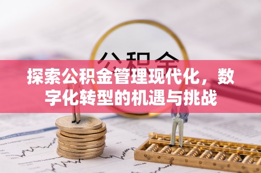 九龙探索公积金管理现代化，数字化转型的机遇与挑战