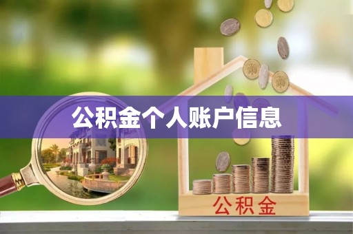 九龙公积金个人账户信息