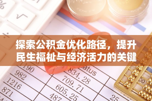 九龙探索公积金优化路径，提升民生福祉与经济活力的关键之举