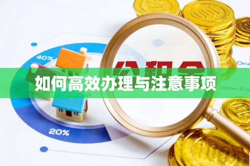 九龙如何高效办理与注意事项