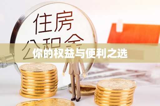 九龙你的权益与便利之选