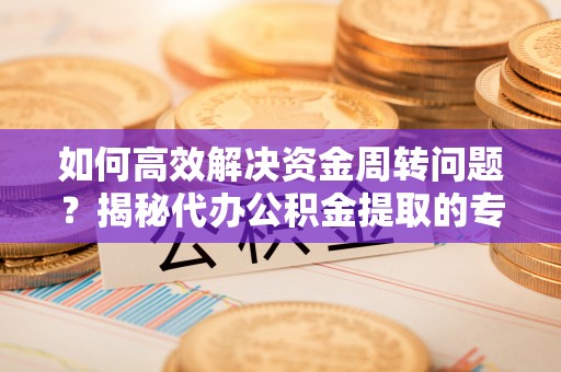 九龙如何高效解决资金周转问题？揭秘代办公积金提取的专业服务