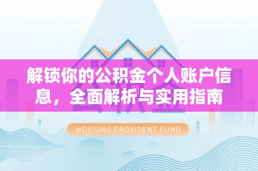 九龙解锁你的公积金个人账户信息，全面解析与实用指南