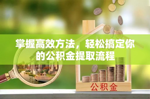 九龙掌握高效方法，轻松搞定你的公积金提取流程