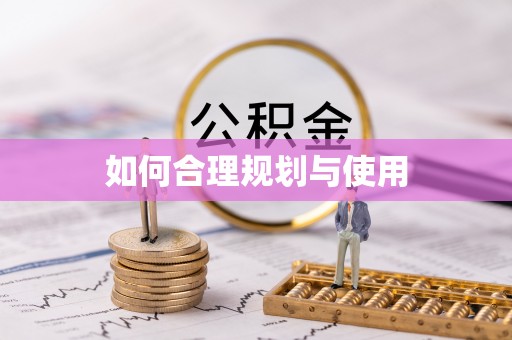 九龙如何合理规划与使用