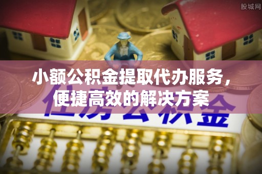 九龙小额公积金提取代办服务，便捷高效的解决方案