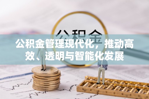 九龙公积金管理现代化，推动高效、透明与智能化发展