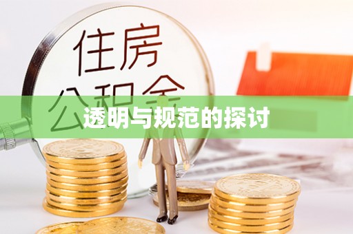 九龙透明与规范的探讨