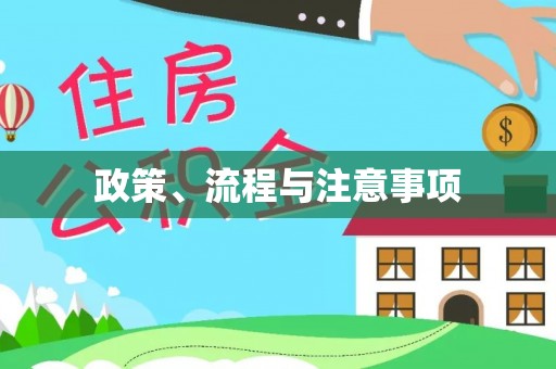 九龙政策、流程与注意事项
