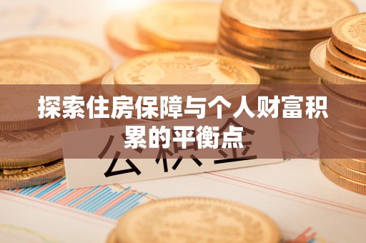 九龙探索住房保障与个人财富积累的平衡点