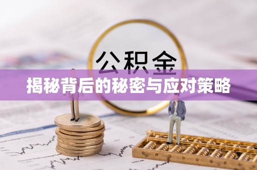 九龙揭秘背后的秘密与应对策略