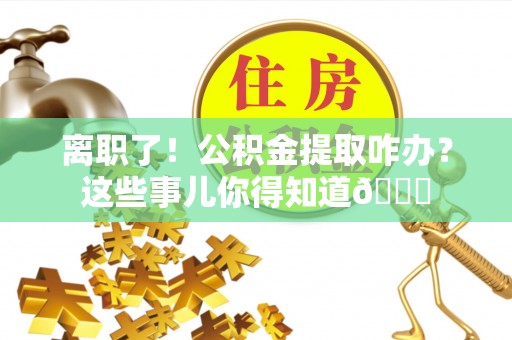 九龙离职了！公积金提取咋办？这些事儿你得知道😎