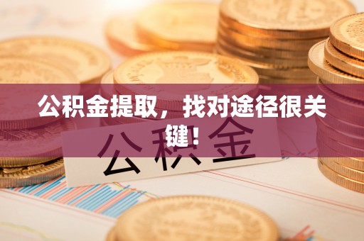 九龙公积金提取，找对途径很关键！