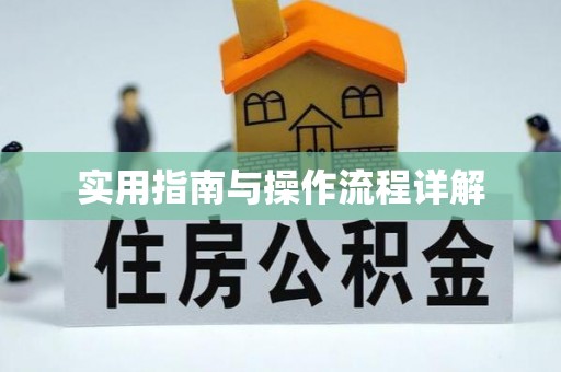 九龙实用指南与操作流程详解