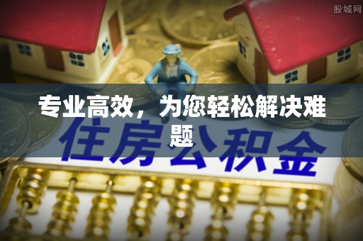 九龙专业高效，为您轻松解决难题