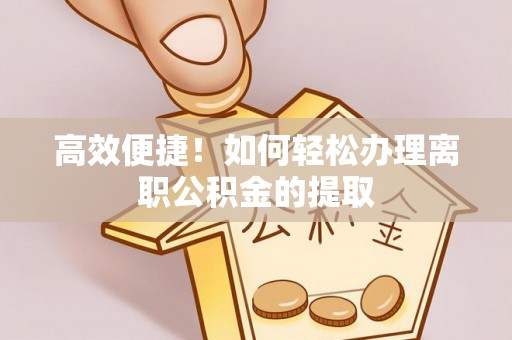 九龙高效便捷！如何轻松办理离职公积金的提取