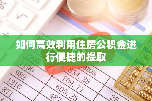 九龙如何高效利用住房公积金进行便捷的提取