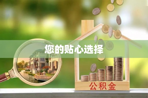 九龙您的贴心选择