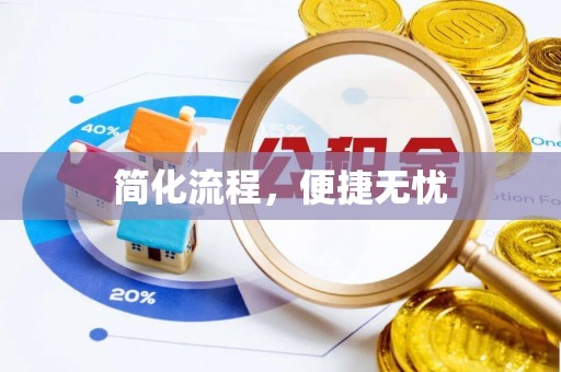 九龙简化流程，便捷无忧