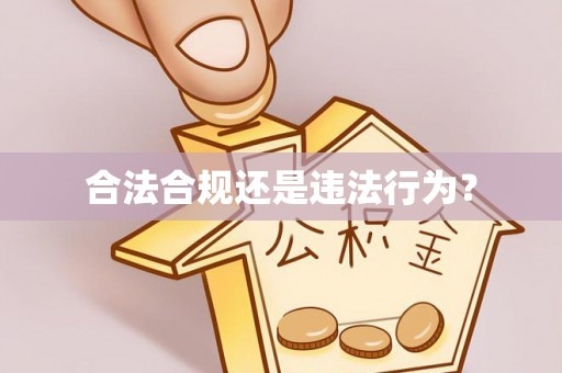 九龙合法合规还是违法行为？