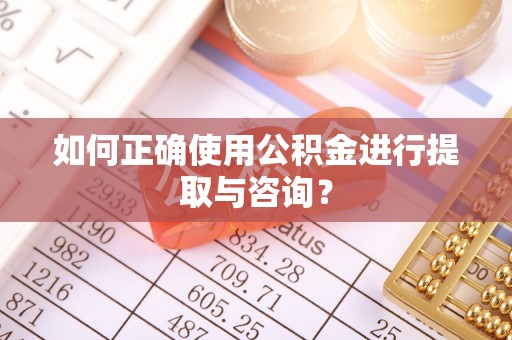 九龙如何正确使用公积金进行提取与咨询？