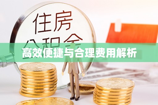 九龙高效便捷与合理费用解析