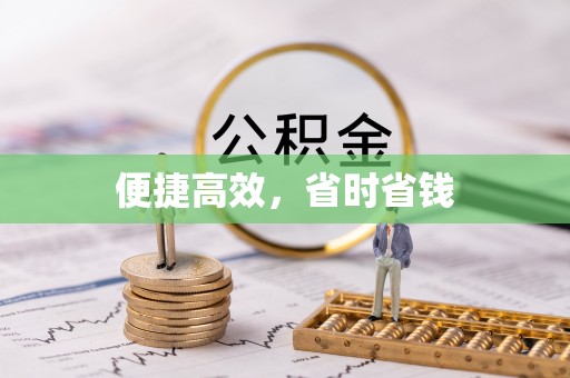 九龙便捷高效，省时省钱