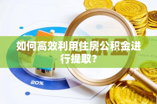 九龙如何高效利用住房公积金进行提取？