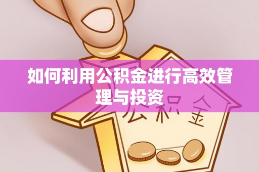九龙如何利用公积金进行高效管理与投资