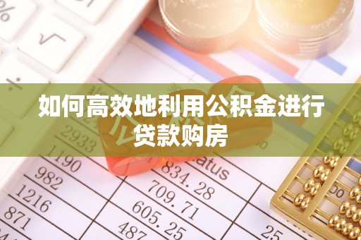 九龙如何高效地利用公积金进行贷款购房