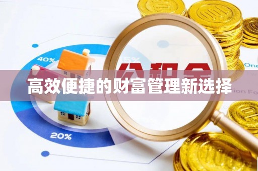 九龙高效便捷的财富管理新选择