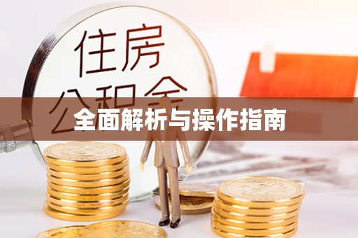 九龙全面解析与操作指南