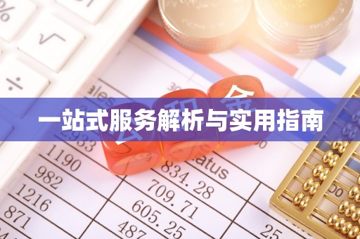 九龙一站式服务解析与实用指南