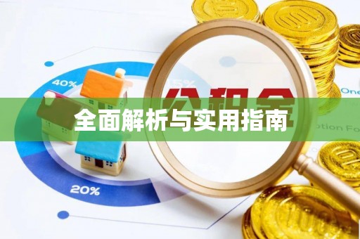 九龙全面解析与实用指南
