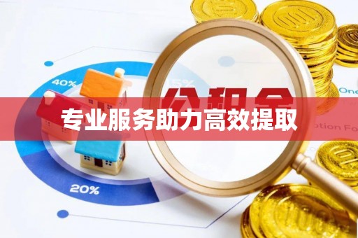 九龙专业服务助力高效提取