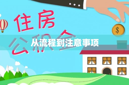 九龙从流程到注意事项