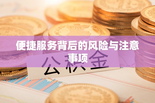 九龙便捷服务背后的风险与注意事项