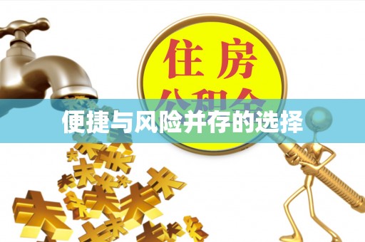 九龙便捷与风险并存的选择
