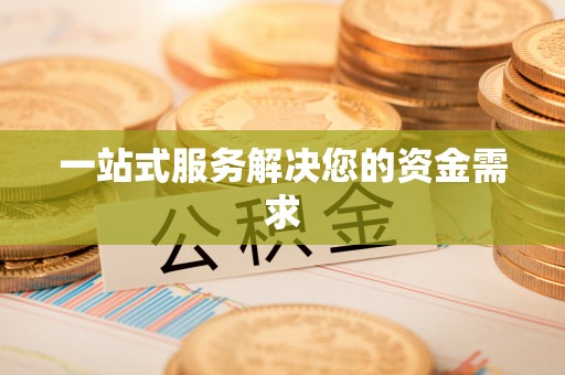 九龙一站式服务解决您的资金需求