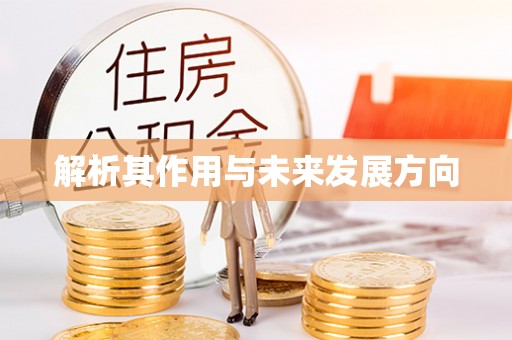 九龙解析其作用与未来发展方向