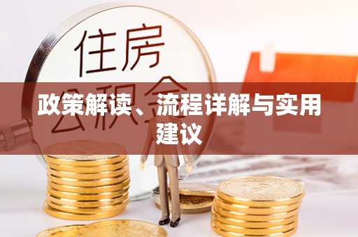 九龙政策解读、流程详解与实用建议