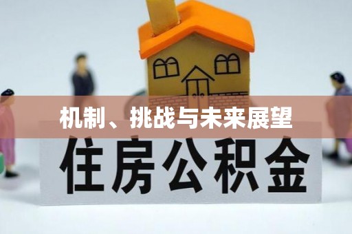 九龙机制、挑战与未来展望